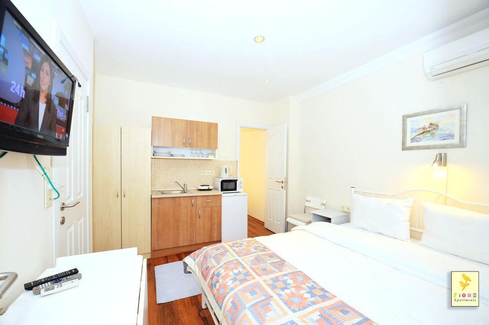 Finch Provincia di Istanbul