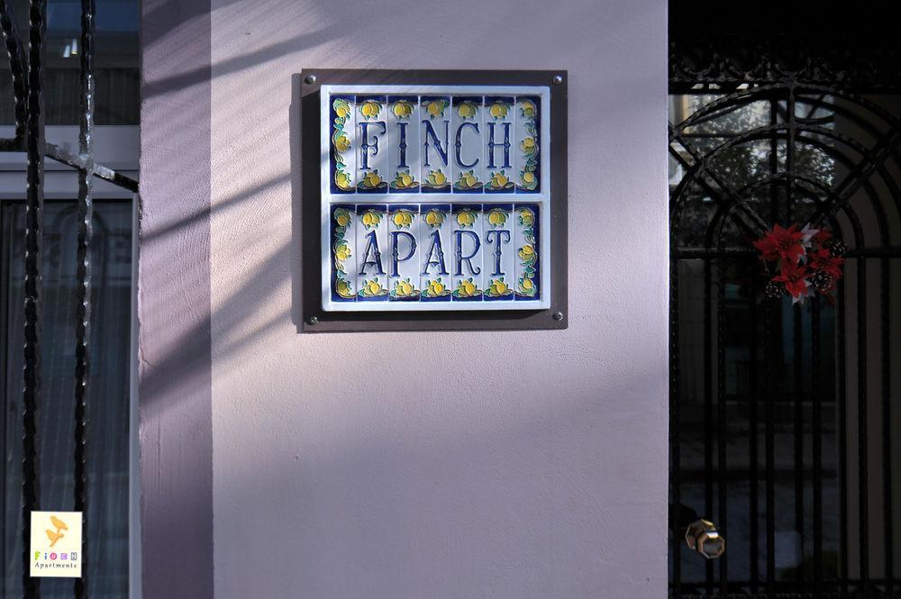 Finch Provincia di Istanbul
